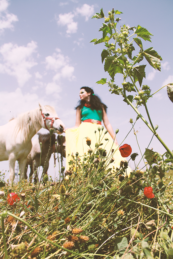 Entry 84523 in Flowers by Marina Okner