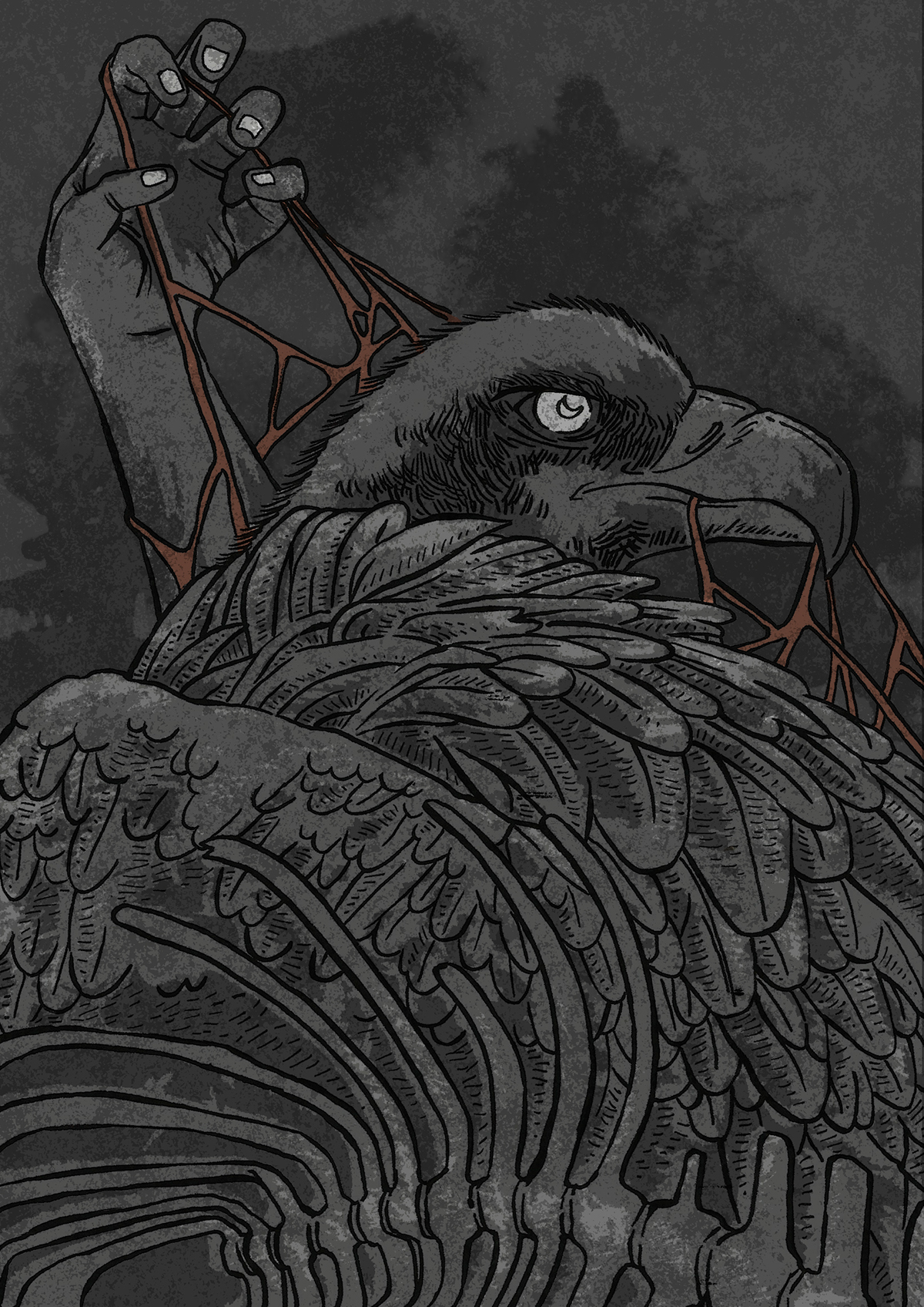Entry 99459 in Vulture by Graphic Boost