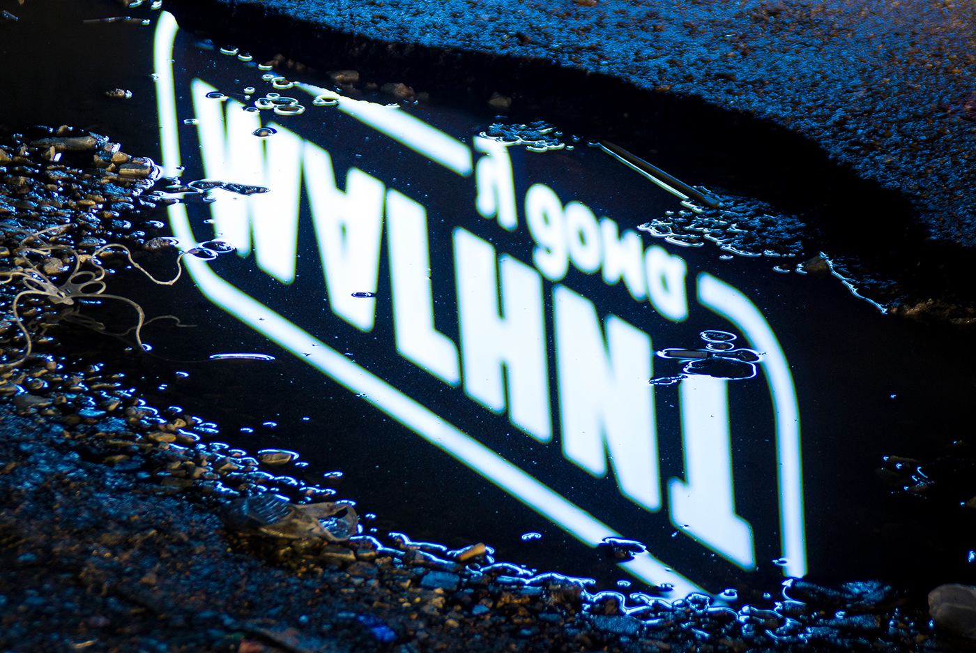 Entry 141205 in WET NEON by DigitalMind