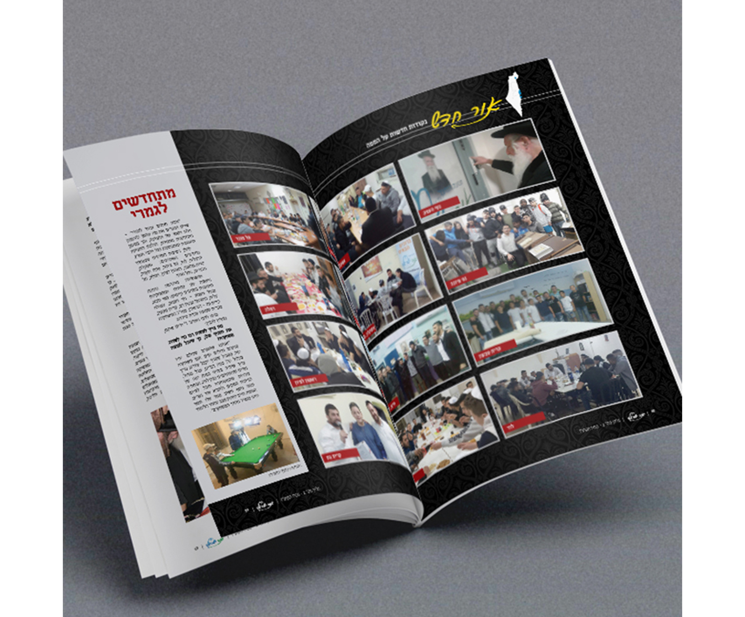 Entry 149095 in Portfolio by קווי מתאר