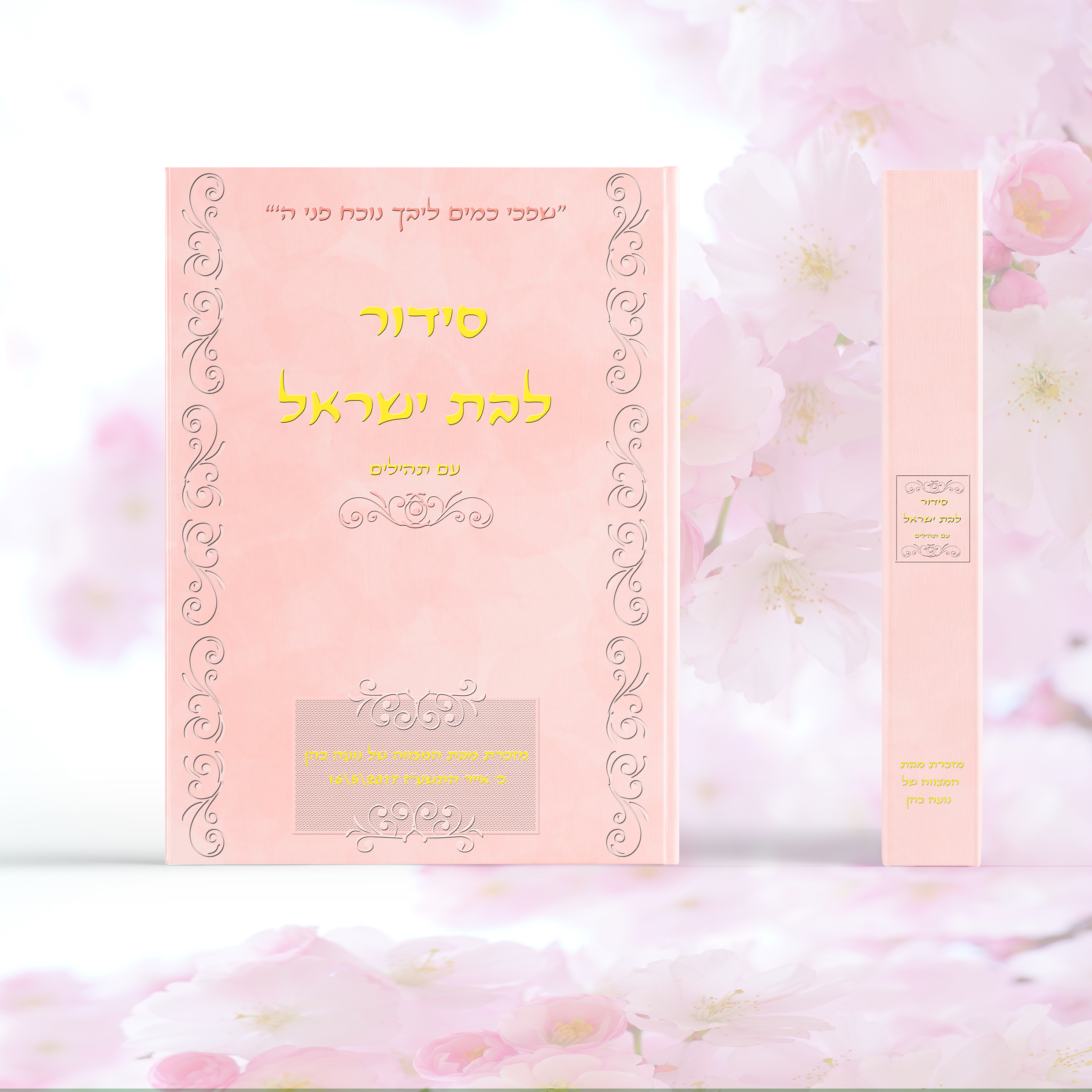 Entry 120507 in Portfolio by Liraz art and design