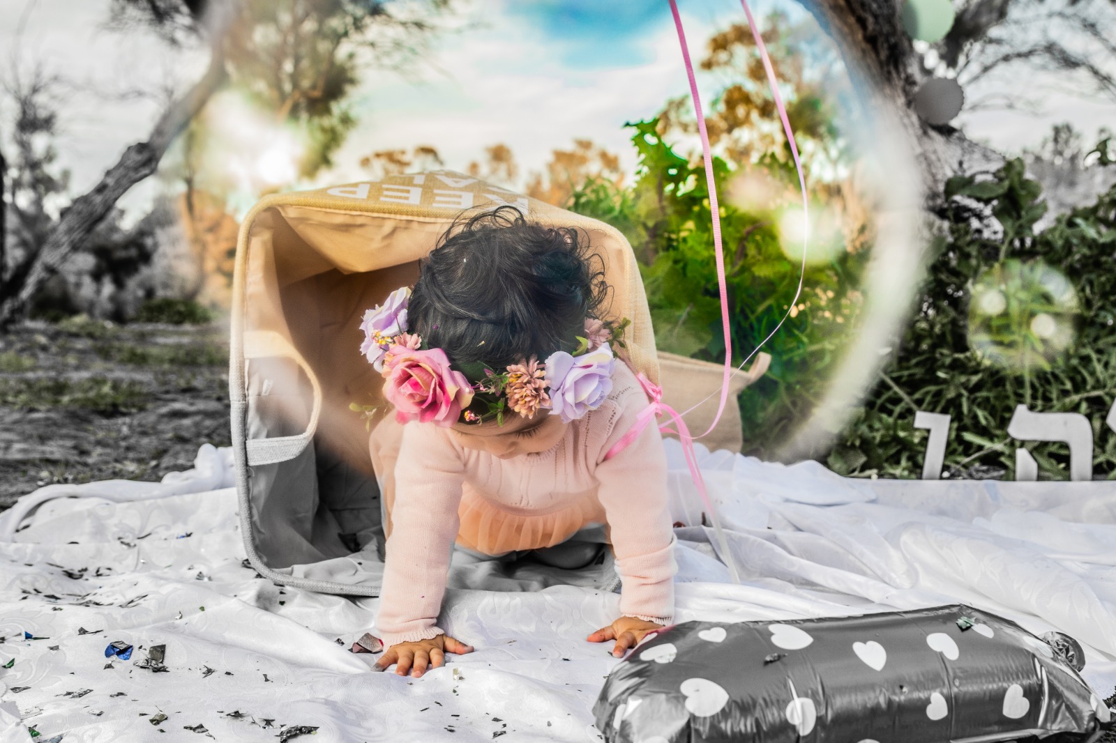 Entry 208410 in Portfolio by טליה זוויות