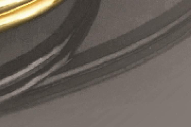 Open Zoomed Related Entry עיצוב.jpg