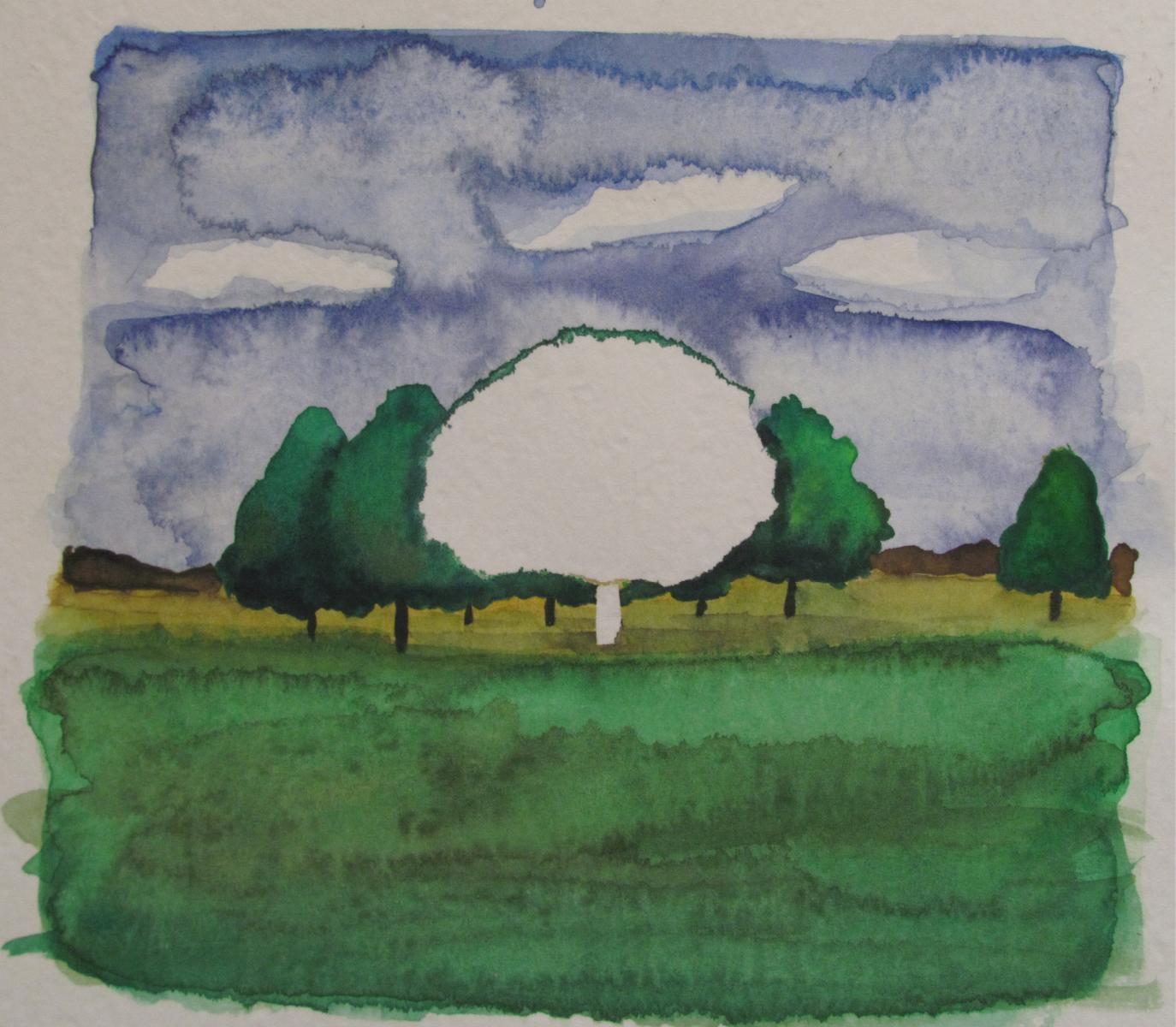 Entry 63249 in Portfolio by ורד דיטור