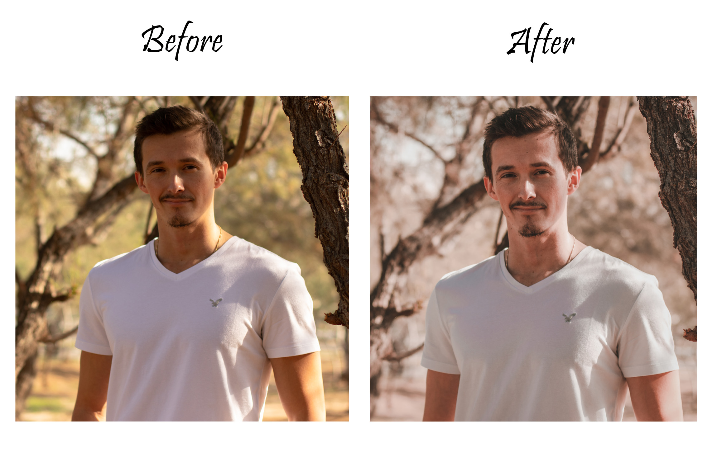 Entry 233505 in Before & After by סולו אברמוב - צלם עם יחס אישי