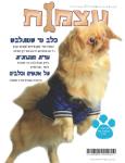 Open Zoomed Related Entry שער לעיתון 2