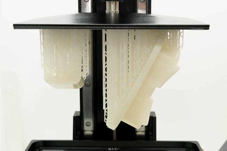 Open Zoomed Related Entry Neurolief SLA print.jpg