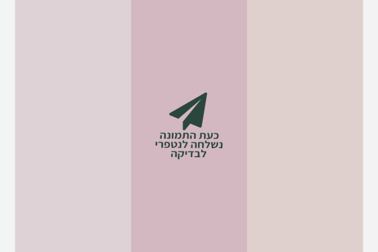 Open Zoomed Related Entry iPhone 14 - 5.png